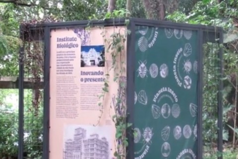 VISITE O ÚNICO ZOOLÓGICO DE INSETOS DA AMÉRICA LATINA